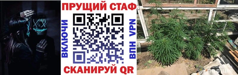 Псилоцибиновые грибы Саянск