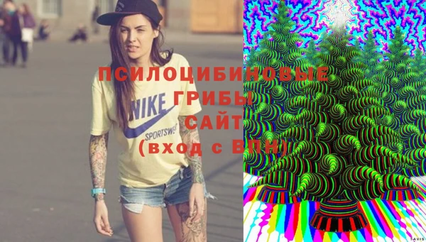 соль ск Алексеевка