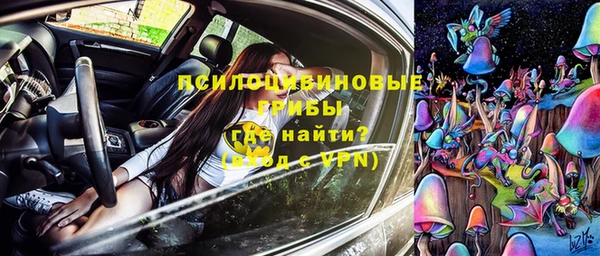 соль ск Алексеевка