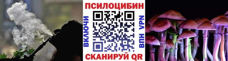 Псилоцибиновые грибы Psilocybe  даркнет состав  Саянск  где купить наркоту  МЕГА  